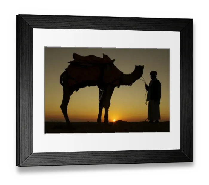 Framed Print : a man and his camel Framed Print : a man and his camel