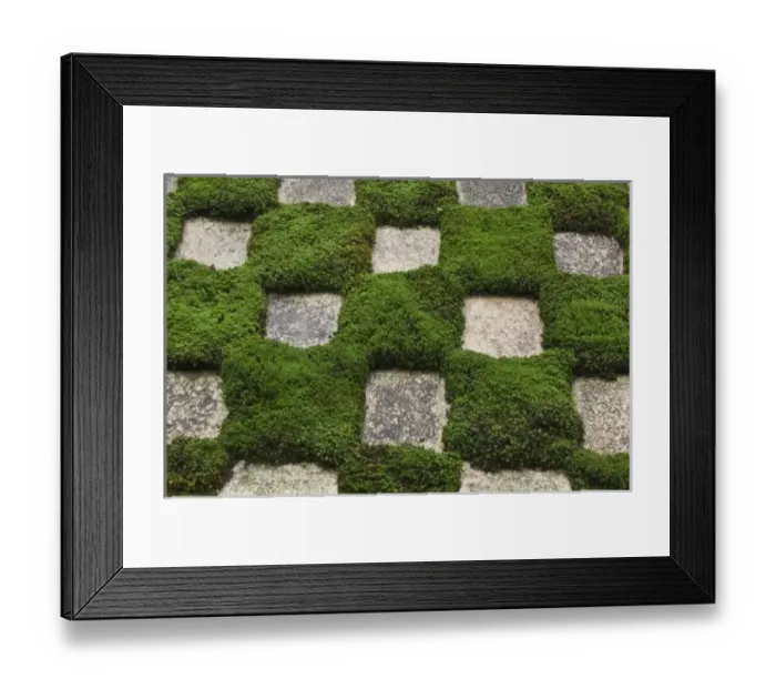 Framed Print : Japan, Kyoto, Tofukuji Temple, Garden Framed Print : Japan, Kyoto, Tofukuji Temple, Garden