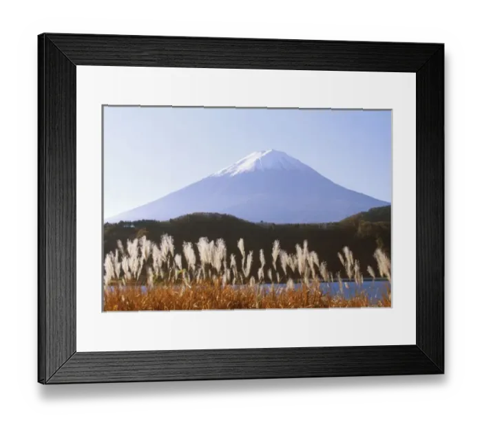 Framed Print : Asia, Japan, Yamanashi, Kawaguchi Lake Mt. Fuji with Susuki Grass Framed Print : Asia, Japan, Yamanashi, Kawaguchi Lake Mt. Fuji with Susuki Grass
