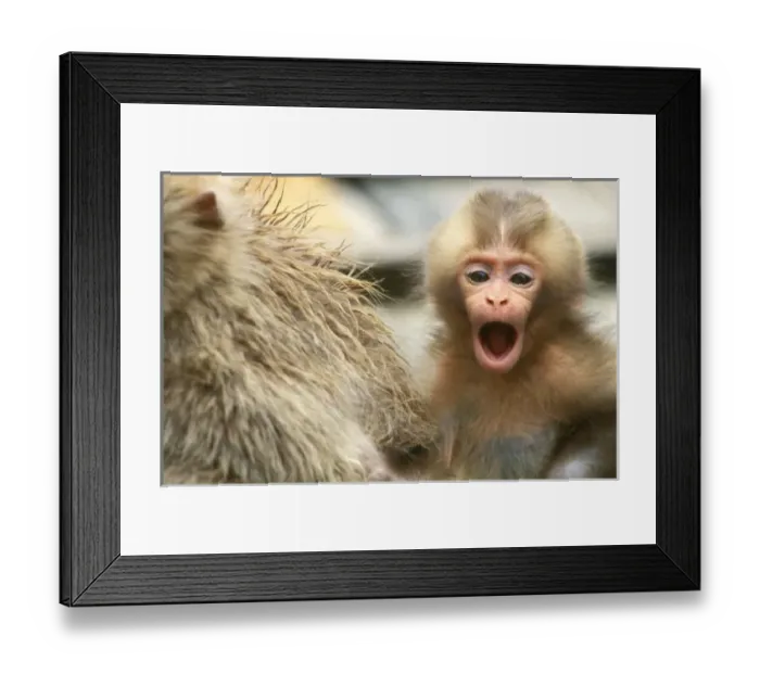Framed Print : Asia, Japan, Nagano Framed Print : Asia, Japan, Nagano
