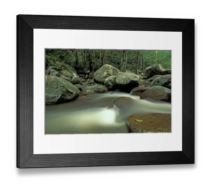 Framed Print : Thailand, Kohsamui Island, Rainforest landscape Framed Print : Thailand, Kohsamui Island, Rainforest landscape