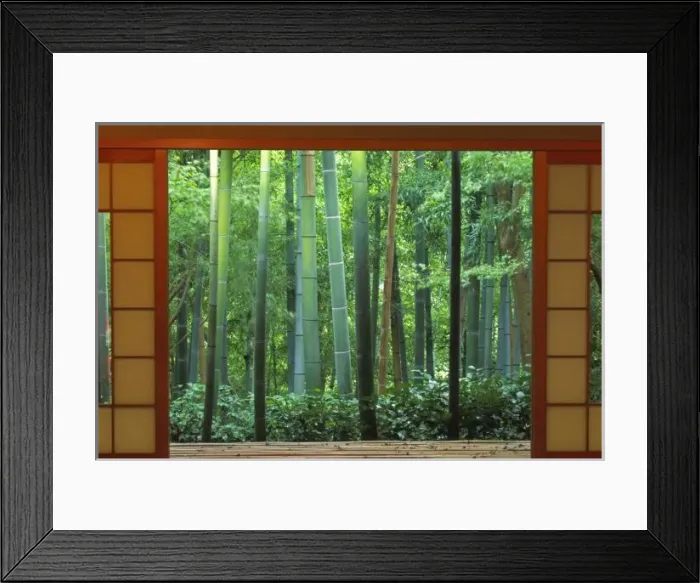 Framed Print : Okochi Sanso, Arashiyama, Kyoto, Japan