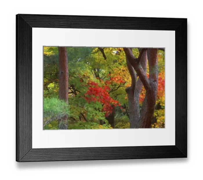 Framed Print : Okochi Sanso, Arashiyama