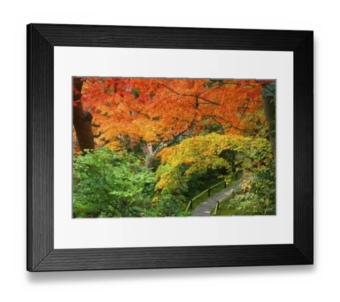 Framed Print : Okochi Sanso, Arashiyama, Kyoto, Japan Framed Print : Okochi Sanso, Arashiyama, Kyoto, Japan