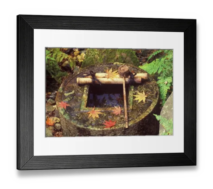 Framed Print : Spring for Tea Ceremony Framed Print : Spring for Tea Ceremony