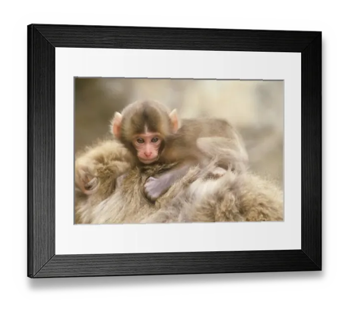 Framed Print : Japan, Nagano Framed Print : Japan, Nagano