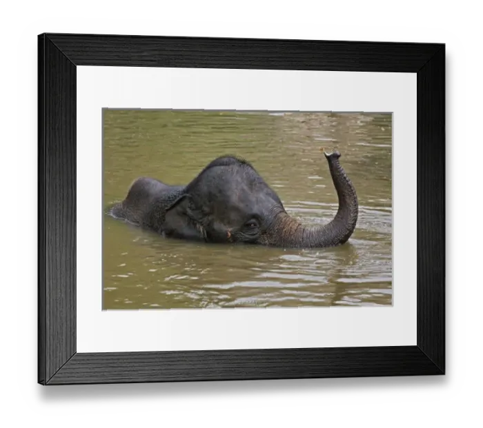Framed Print : Asia, Thailand Framed Print : Asia, Thailand