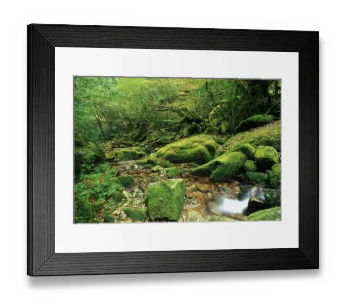 Framed Print : Shiratani Unsuikyo Framed Print : Shiratani Unsuikyo