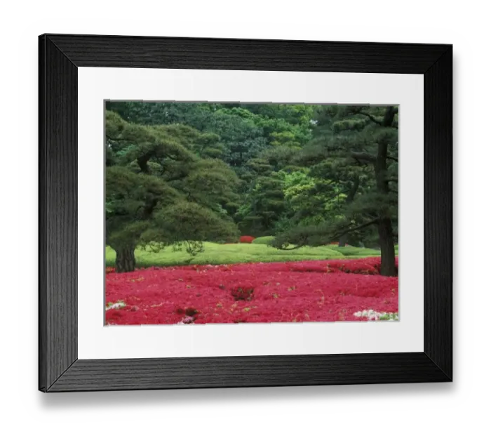 Framed Print : Imperial Palace Garden, Tokyo, Japan Framed Print : Imperial Palace Garden, Tokyo, Japan