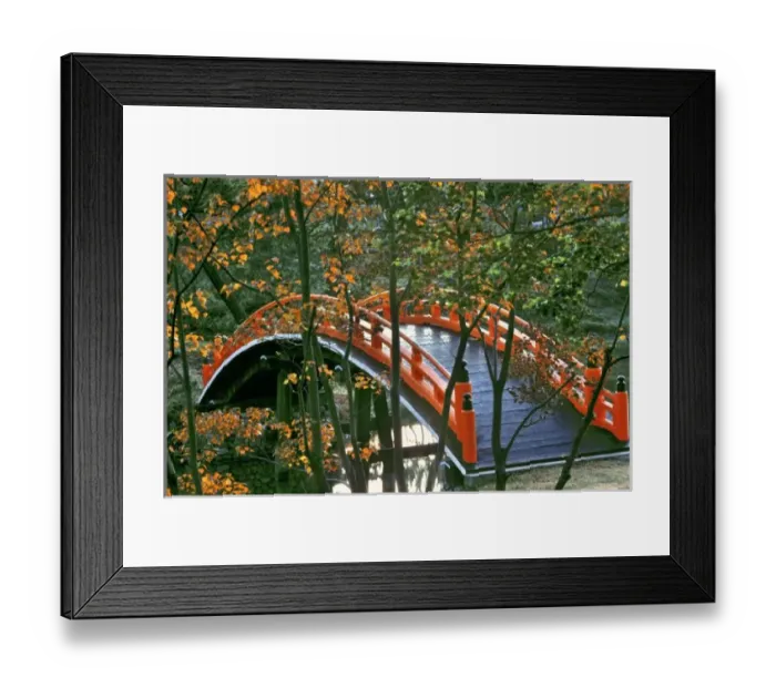 Framed Print : Japan, Nara Pref. Nara. The Royal Bridge glows through the autumn foliage in Nara, Japan