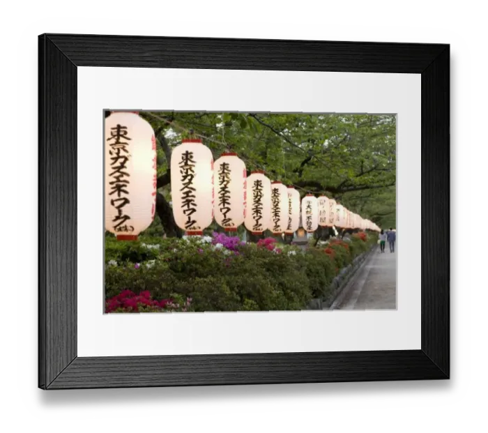 Framed Print : Japan, Honshu island, Kanagawa Prefecture, Kamakura, paper lanterns along road leading
