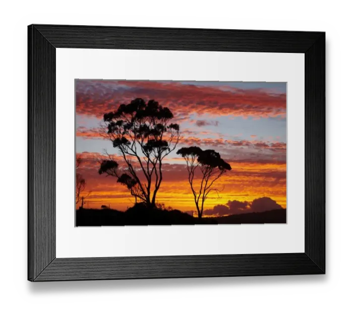 Framed Print : Sunset and Gum Tree, Binalong Bay, Bay of Fires, Eastern Tasmania, Australia Framed Print : Sunset and Gum Tree, Binalong Bay, Bay of Fires, Eastern Tasmania, Australia