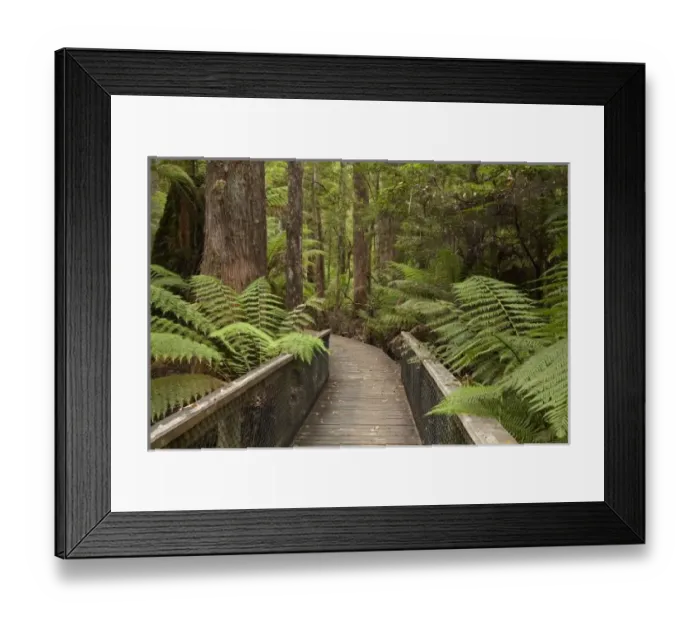 Framed Print : Footpath Through Framed Print : Footpath Through