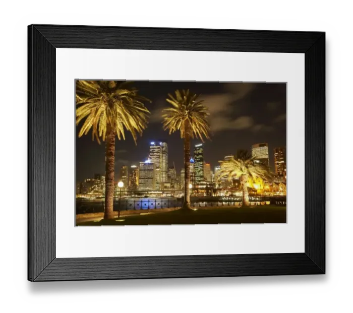Framed Print : Palm Trees Framed Print : Palm Trees