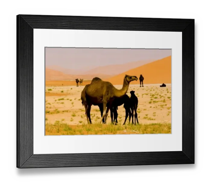 Framed Print : Asia, Oman