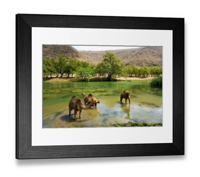 Framed Print : Oman, Wadi darbat Framed Print : Oman, Wadi darbat