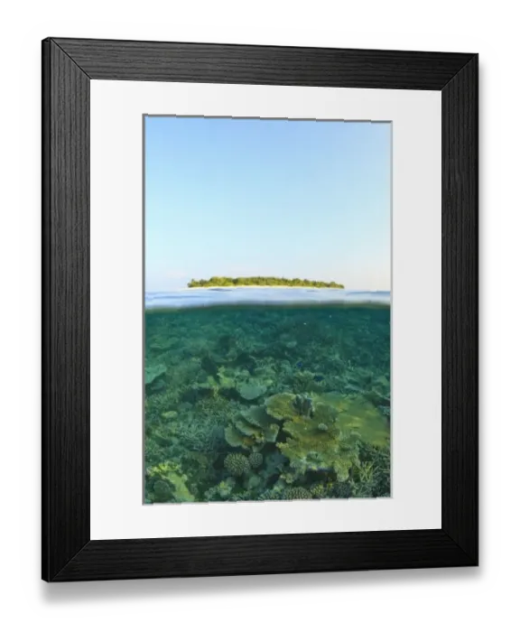 Framed Print : Above & Below View, Havodigalaa Island, South Huvadhoo Atoll, Southern Maldives