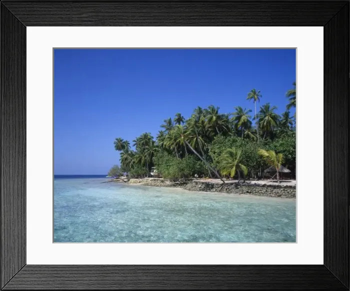 Framed Print : Erosion by rising sea levels, global warming in the Indian Ocean, Maldives Framed Print : Erosion by rising sea levels, global warming in the Indian Ocean, Maldives