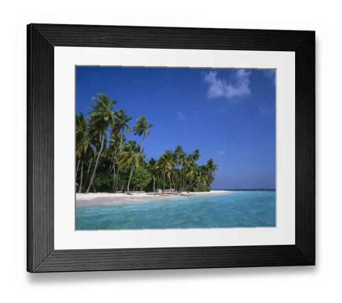 Framed Print : Beach with palm trees, Maldives Framed Print : Beach with palm trees, Maldives