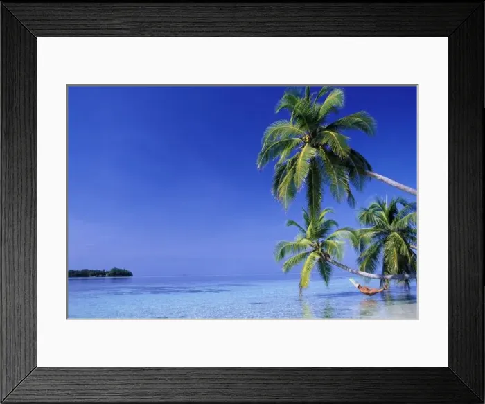 Framed Print : Maldives, Felidhu Atoll. Man relaxing in hammock