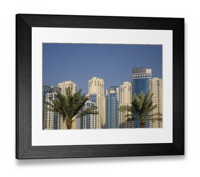 Framed Print : UAE, Dubai. Towers of Jumeirah Beach Residence with two palm trees in front Framed Print : UAE, Dubai. Towers of Jumeirah Beach Residence with two palm trees in front
