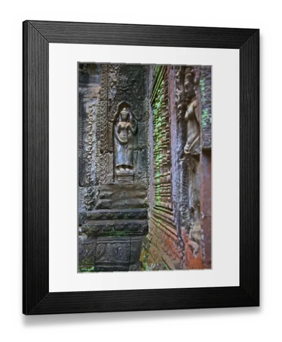 Framed Print : Ta Prohm Temple, Siem Reap Province, Cambodia Framed Print : Ta Prohm Temple, Siem Reap Province, Cambodia