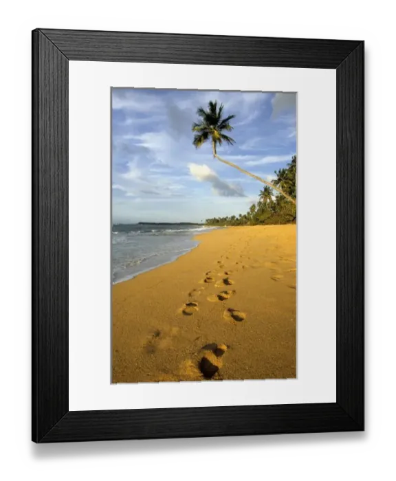 Framed Print : Beach Puerto Rico