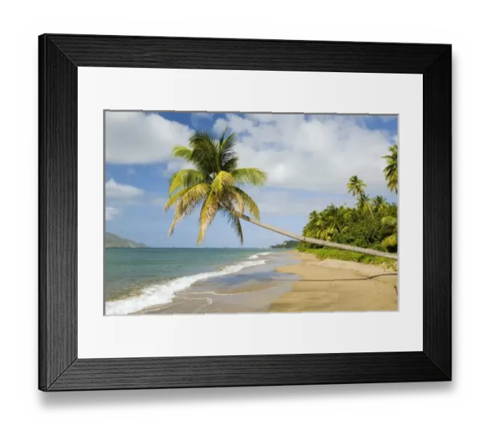 Framed Print : Coconut Grove Beach Framed Print : Coconut Grove Beach