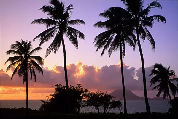 Coastline St. Kitts