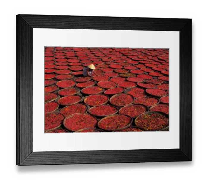 Framed Print : Vietnam. Candy drying in baskets under the sun Framed Print : Vietnam. Candy drying in baskets under the sun