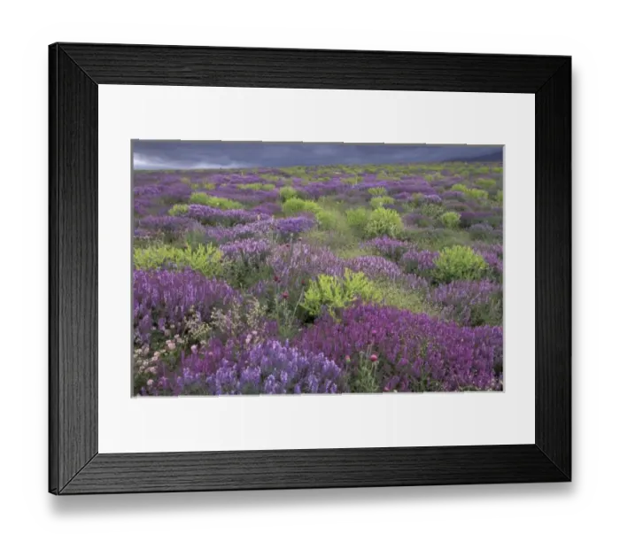 Framed Print : Europe, Turkey