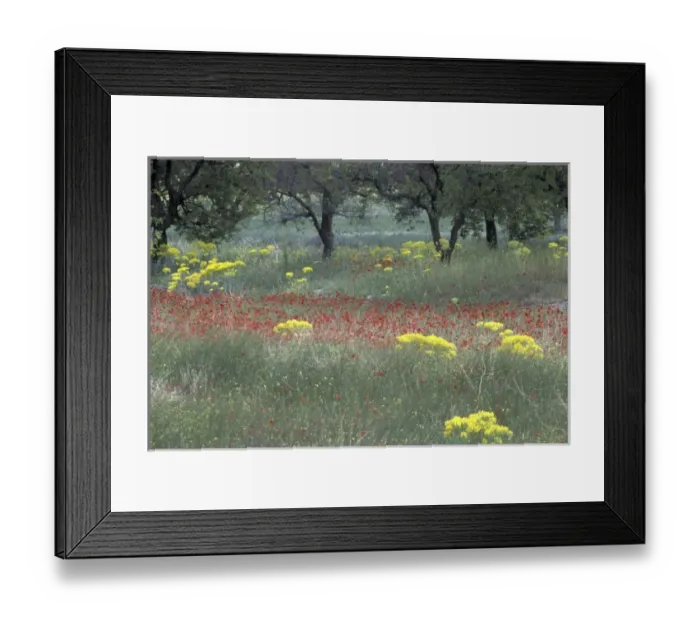 Framed Print : Europe, Turkey Framed Print : Europe, Turkey