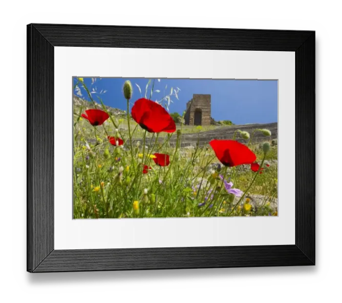 Framed Print : Asia, Turkey
