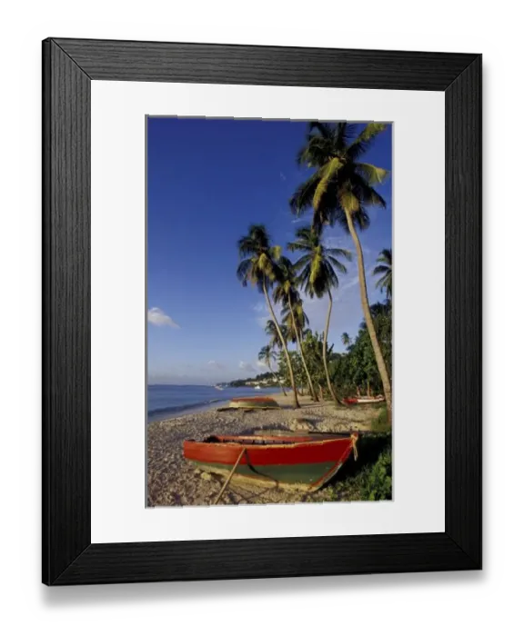 Framed Print : CARIBBEAN, Grenada, St. George, Boats on palm tree-lined beach Framed Print : CARIBBEAN, Grenada, St. George, Boats on palm tree-lined beach