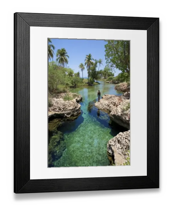Framed Print : Alligator Hole, Black River Town, Jamaica South Coast Framed Print : Alligator Hole, Black River Town, Jamaica South Coast
