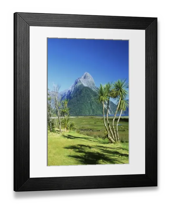 Framed Print : New Zealand, South Island, Mitre Peak, Fiordland NP Framed Print : New Zealand, South Island, Mitre Peak, Fiordland NP