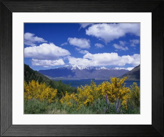 Framed Print : Lake Wakatipu and the Remarkables, Queenstown, Otago, South Island, New Zealand Framed Print : Lake Wakatipu and the Remarkables, Queenstown, Otago, South Island, New Zealand