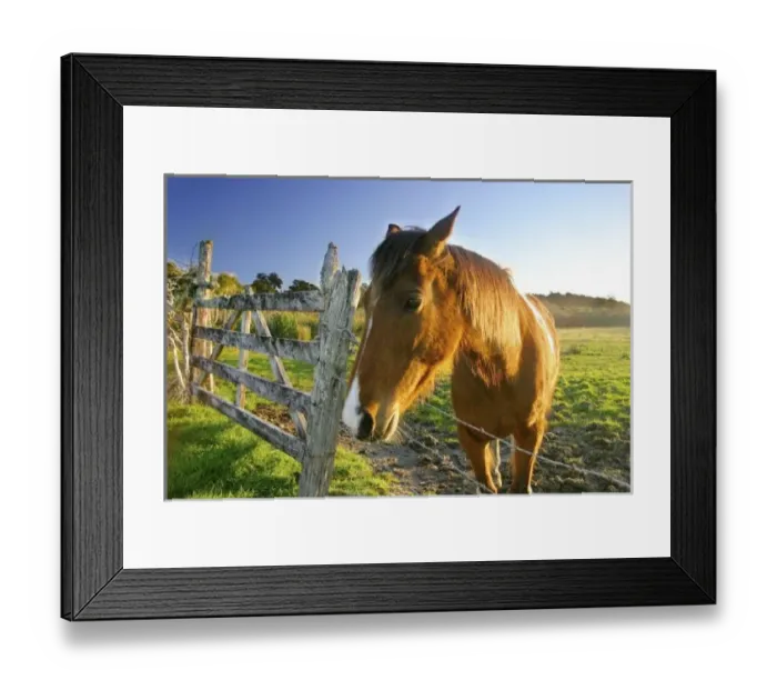 Framed Print : New Zealand Framed Print : New Zealand