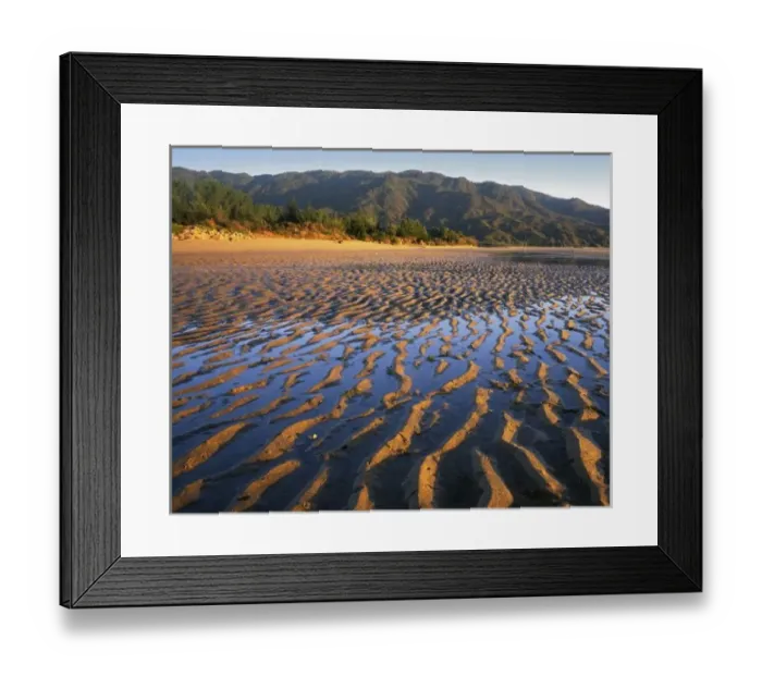 Framed Print : New Zealand, Abel Tasman National Park, Coast Framed Print : New Zealand, Abel Tasman National Park, Coast