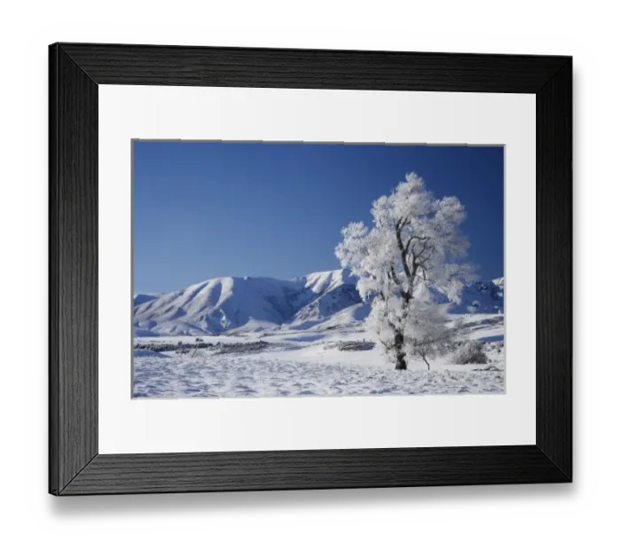 Framed Print : Hoar Frost on Farmland near Wedderburn, and Ida Range, Maniototo, South Island, New Framed Print : Hoar Frost on Farmland near Wedderburn, and Ida Range, Maniototo, South Island, New