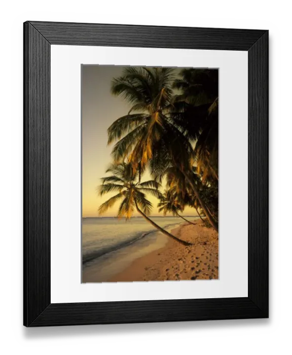 Framed Print : Beach at sunset