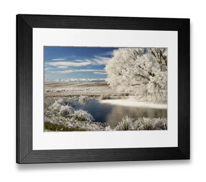 Framed Print : Frozen Pond and Hoar Frost on Willow Tree, near Omakau, and Hawkdun Ranges, Central Otago Framed Print : Frozen Pond and Hoar Frost on Willow Tree, near Omakau, and Hawkdun Ranges, Central Otago