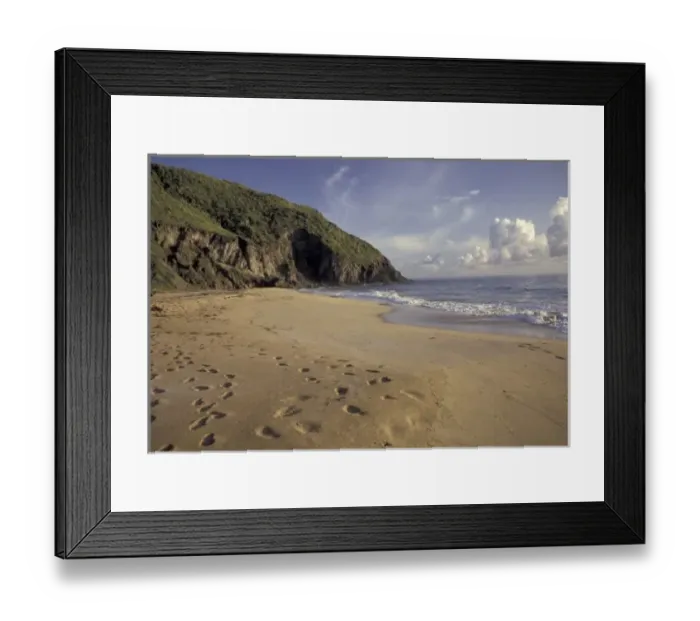 Framed Print : Caribbean, St. Kitts. Footprints on Atlantic Beach Framed Print : Caribbean, St. Kitts. Footprints on Atlantic Beach
