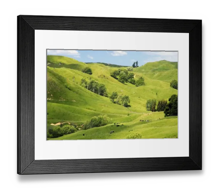 Framed Print : Farmland near Gisborne, New Zealand Framed Print : Farmland near Gisborne, New Zealand