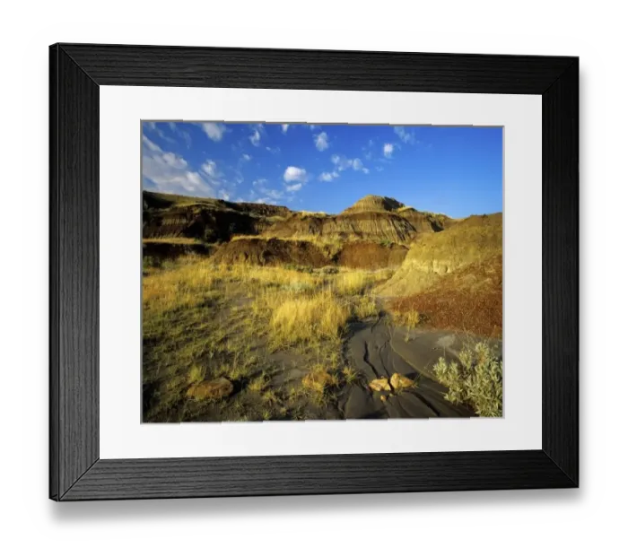 Framed Print : Badlands at Dinosaur Framed Print : Badlands at Dinosaur