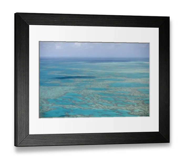 Framed Print : Tropical reef, Great Barrier Reef, Queensland, Australia Framed Print : Tropical reef, Great Barrier Reef, Queensland, Australia
