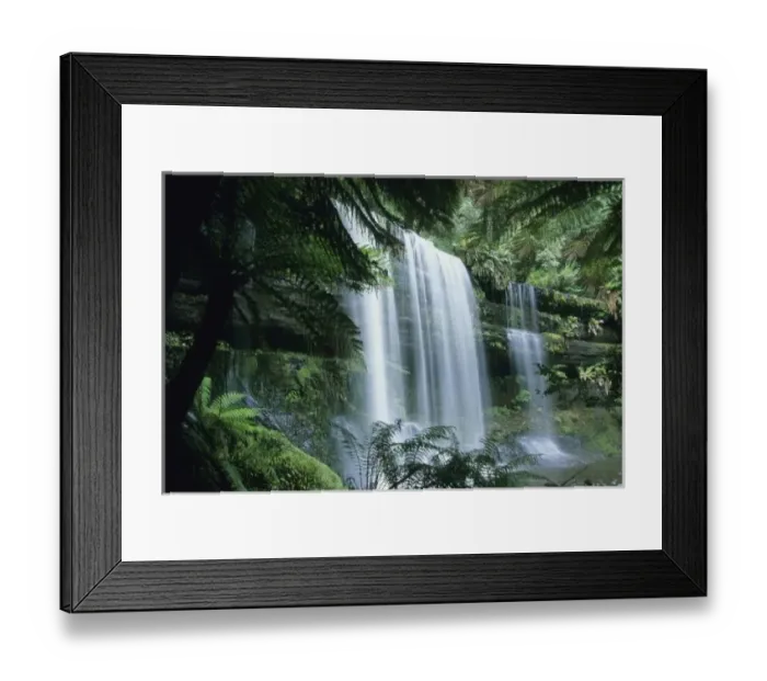 Framed Print : Tasmania, Mt. Field National Park, Russell Falls and tree ferns