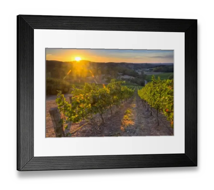 Framed Print : Australia. South Australia, Adelaide Hills, Summertown Framed Print : Australia. South Australia, Adelaide Hills, Summertown