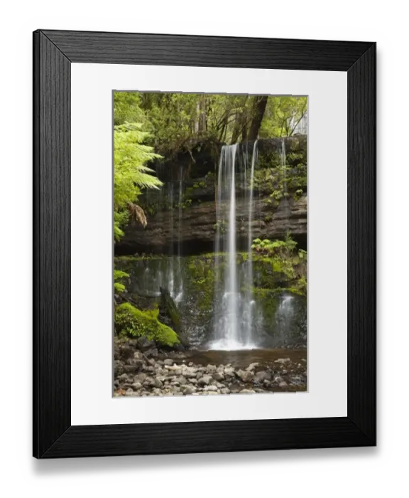 Framed Print : Russell Falls Framed Print : Russell Falls