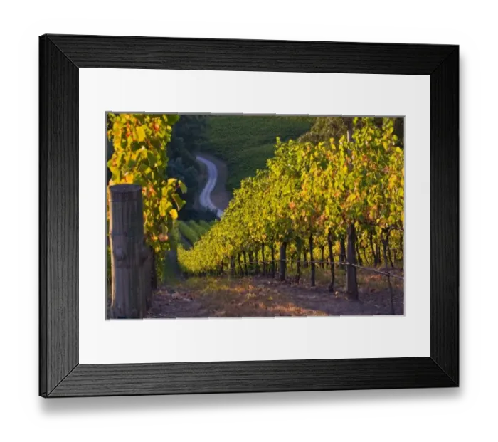 Framed Print : Australia. South Australia, Adelaide Hills, Summertown Framed Print : Australia. South Australia, Adelaide Hills, Summertown